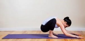 a women making a Garland Pose