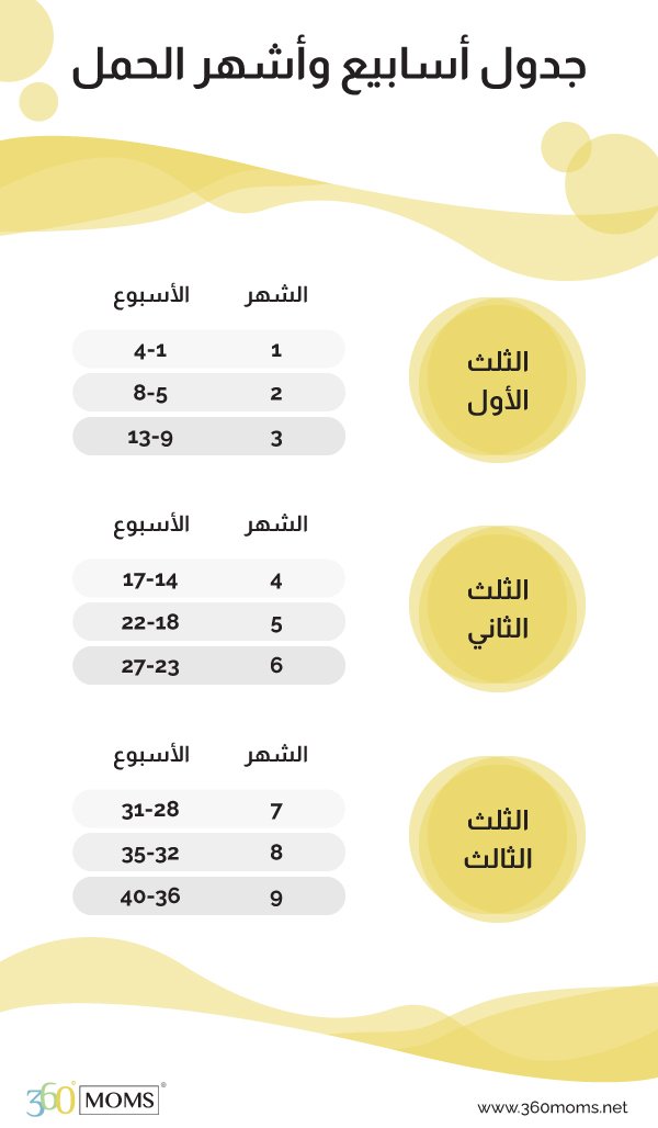 حساب أسابيع الحمل بدقة ،جدول أسابيع وأشهر الحمل