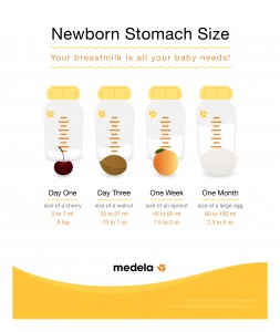 35261_NewbornStomach